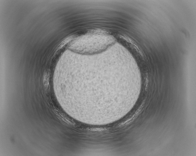 X0000115021017200912071023