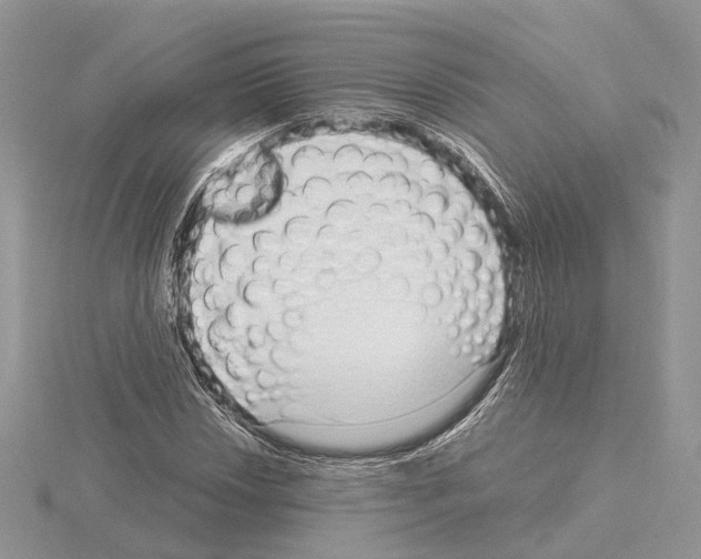 X0000115021018200912071023