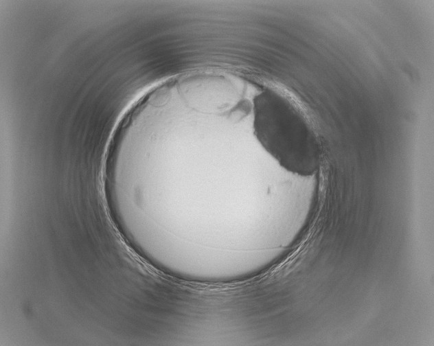 X0000115021020200912071023