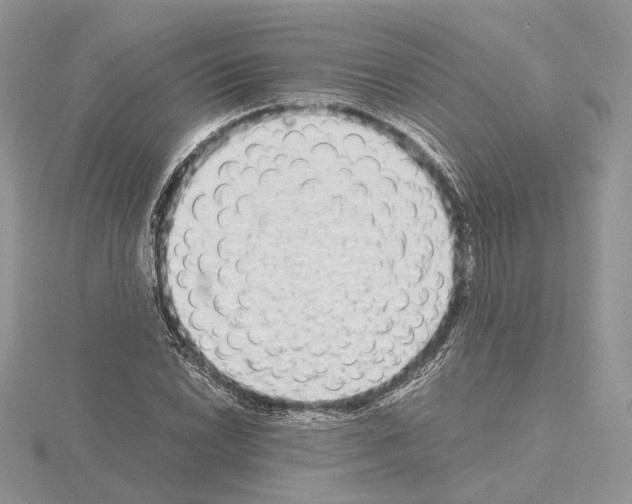 X0000115021022200912071023