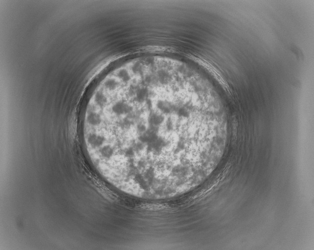 X0000115021023200912071023