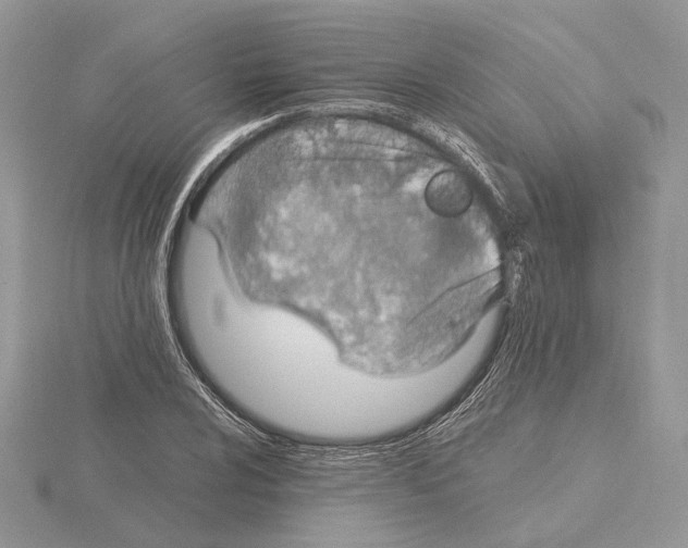 X0000115021024200912071023