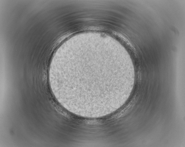 X0000115021025200912071023