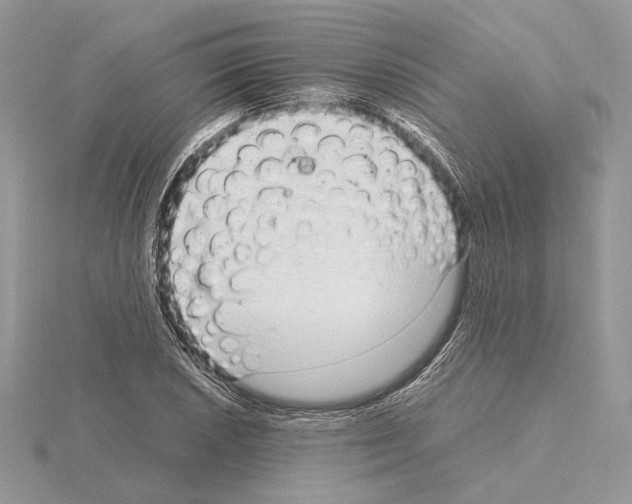 X0000115021026200912071023