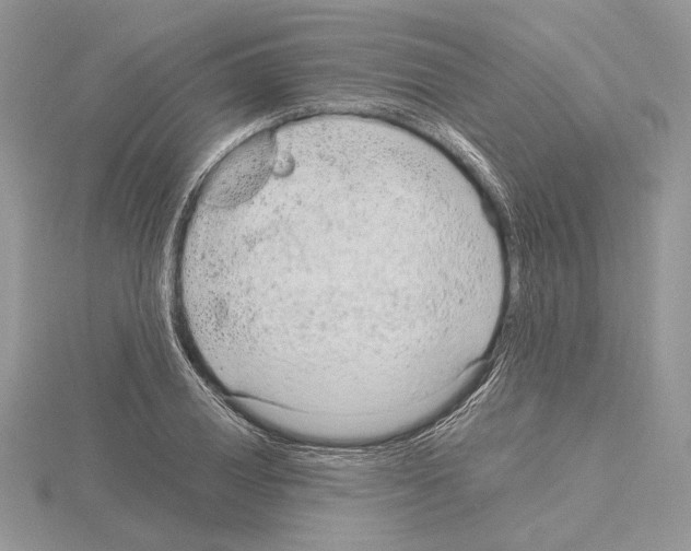 X0000115021028200912071023