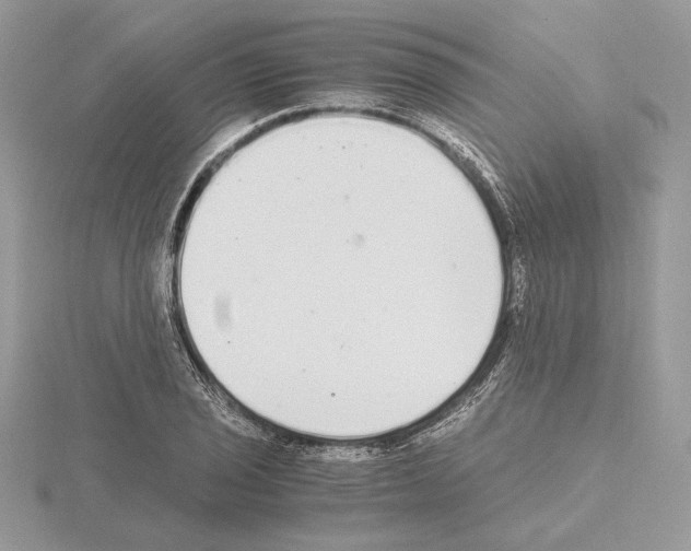 X0000115021029200912071023