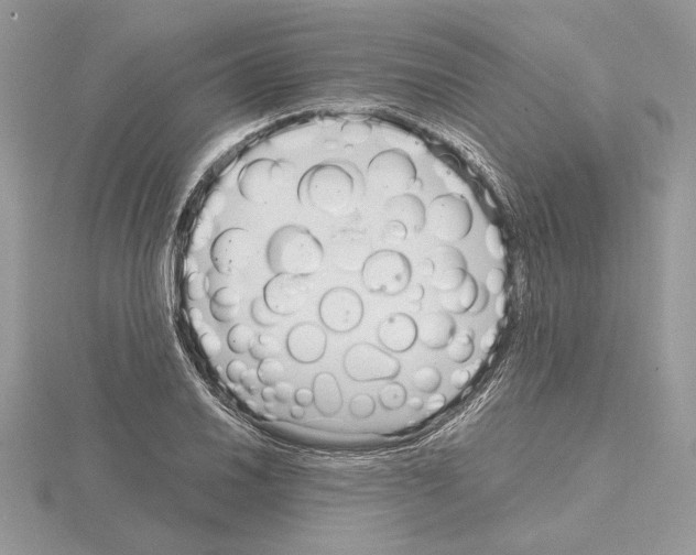 X0000115021030200912071023