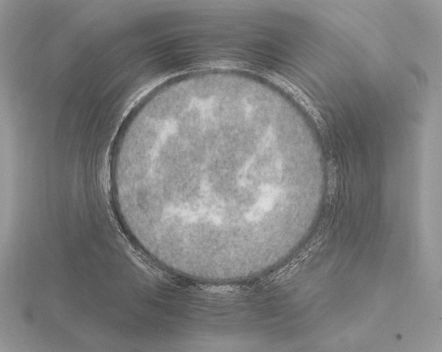 X0000115021031200912071023