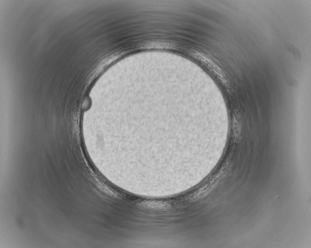 X0000115021033200912071023