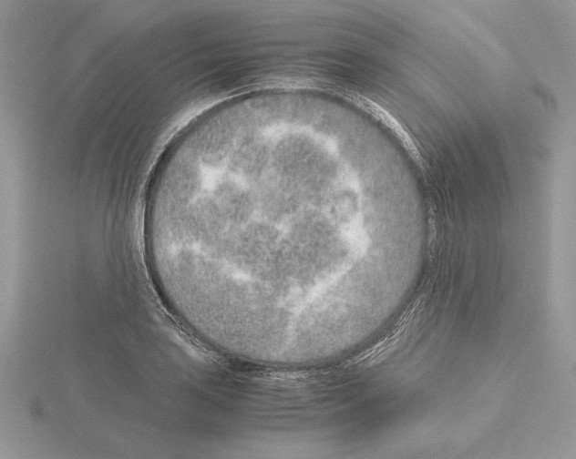 X0000115021035200912071023