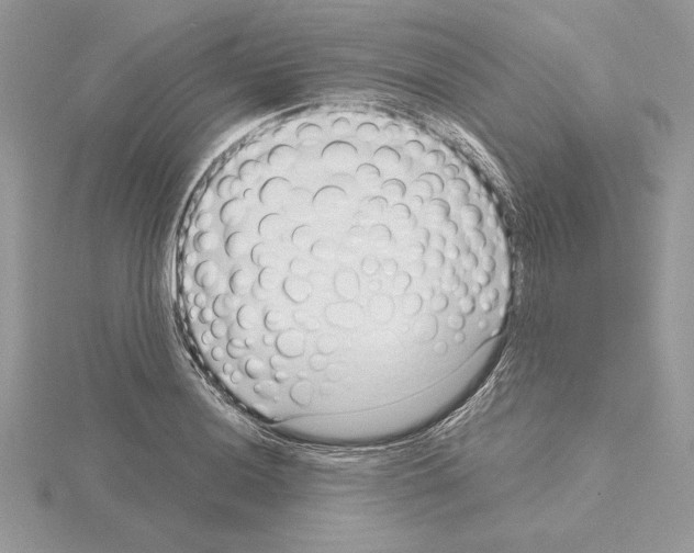 X0000115021036200912071023