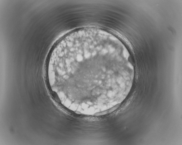 X0000115021037200912071023