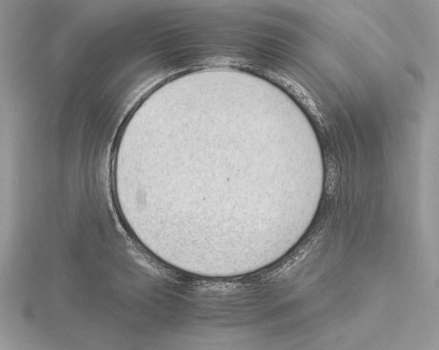 X0000115021039200912071023