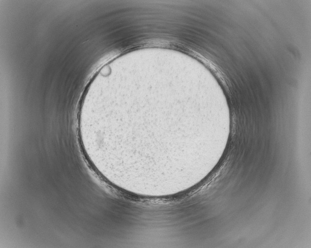 X0000115021042200912071023