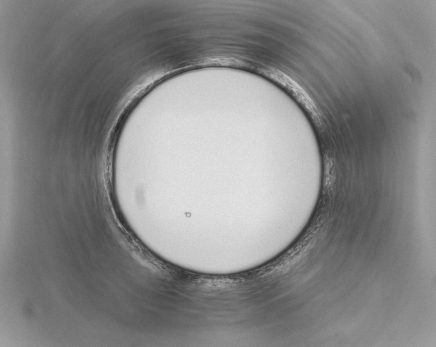 X0000115021043200912071023