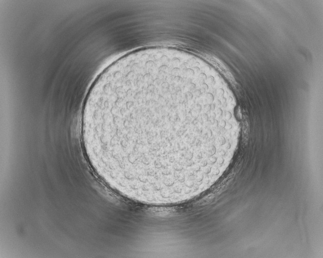 X0000115021044200912071023