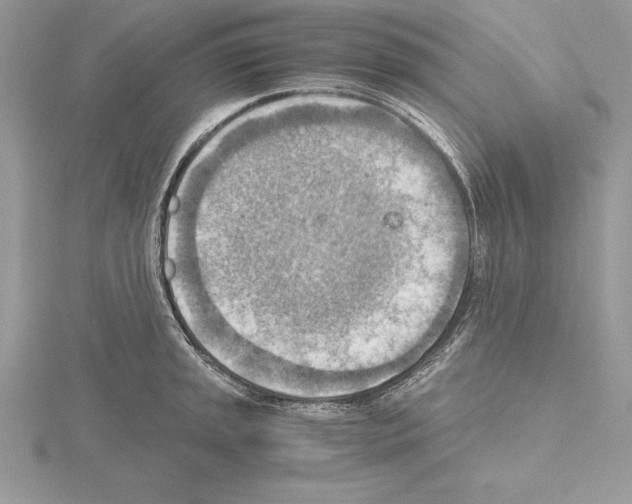 X0000115021045200912071023