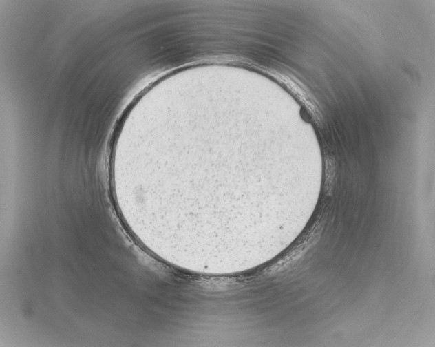 X0000115021046200912071023