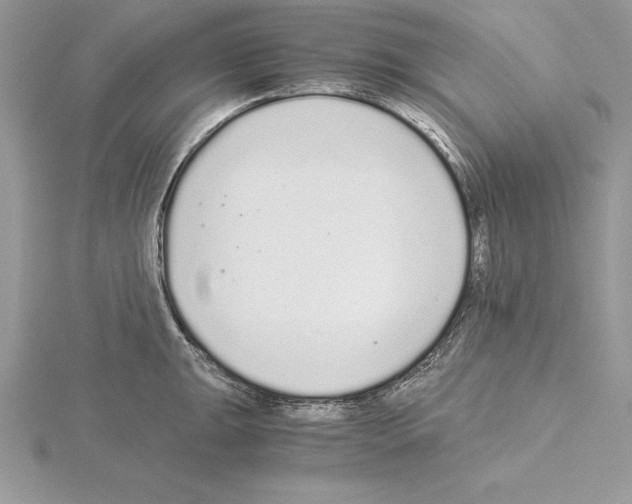 X0000115021047200912071023