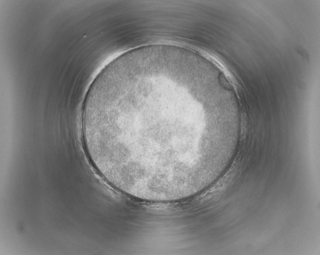 X0000115021048200912071023