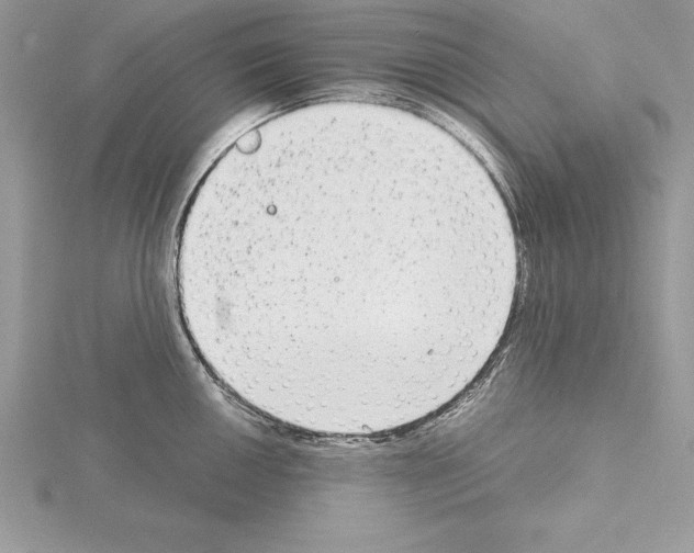 X0000115021050200912071023