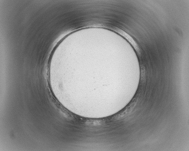 X0000115021051200912071023