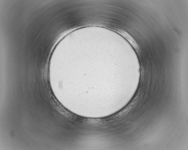 X0000115021052200912071023