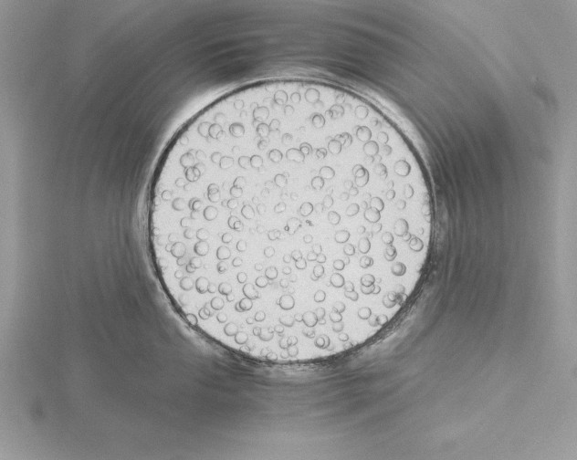 X0000115021053200912071023