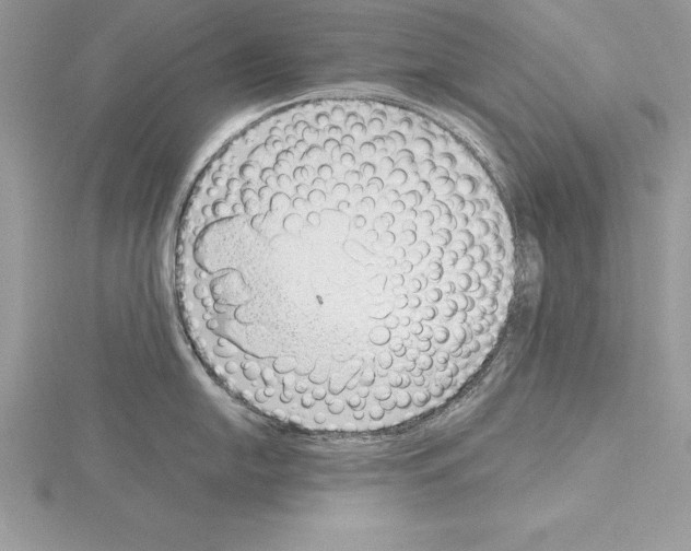 X0000115021054200912071023