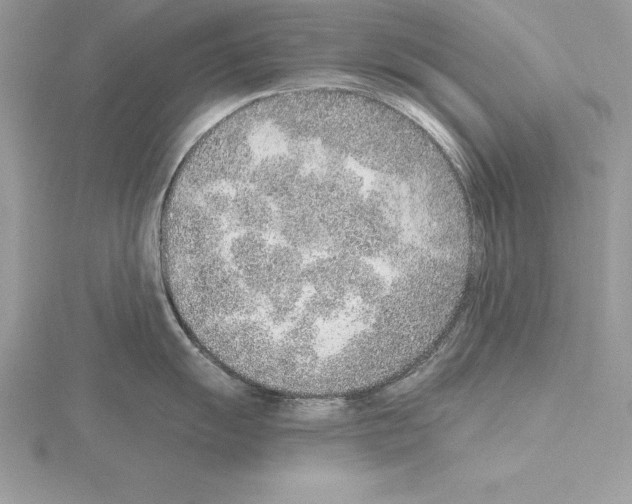 X0000115021055200912071023