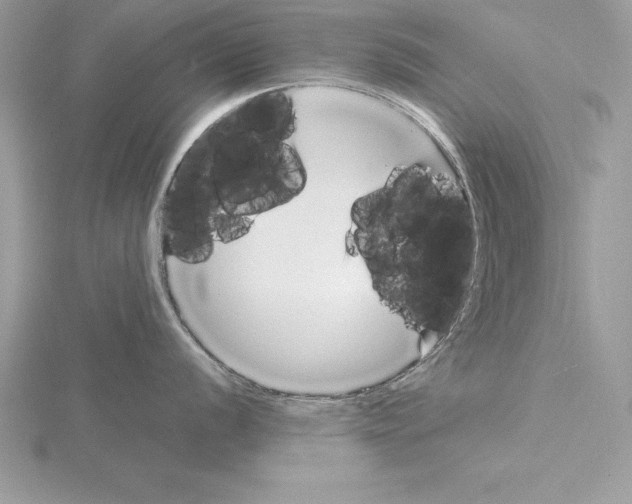 X0000115021056200912071023