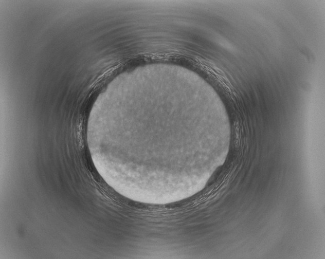 X0000115021060200912071023