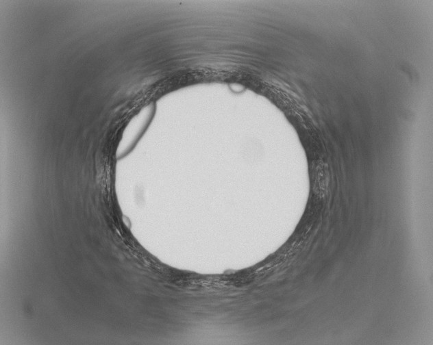 X0000115021061200912071023