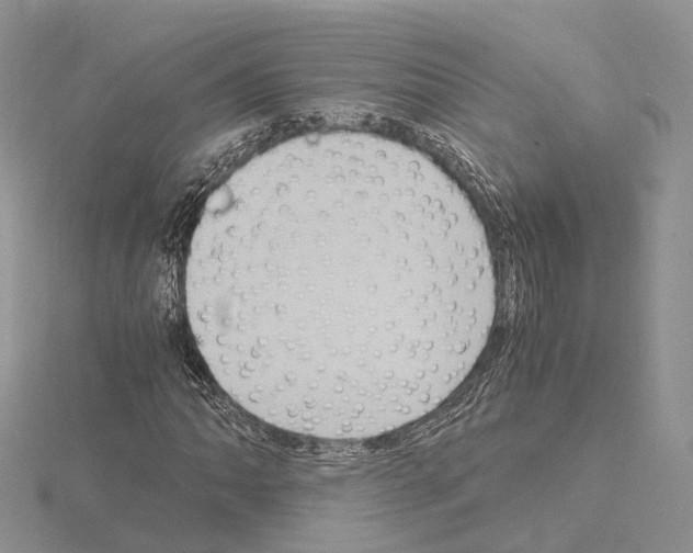 X0000115021062200912071023