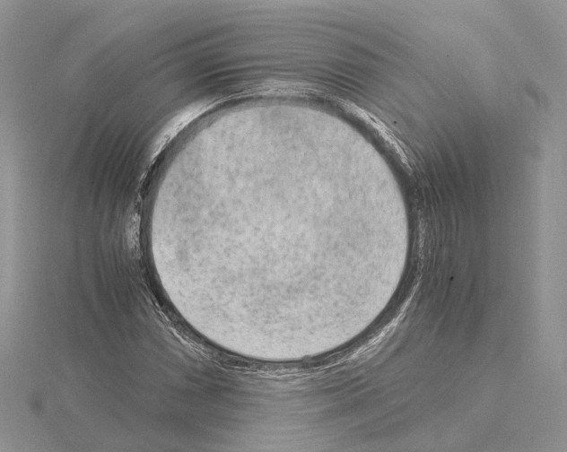 X0000115021066200912071023