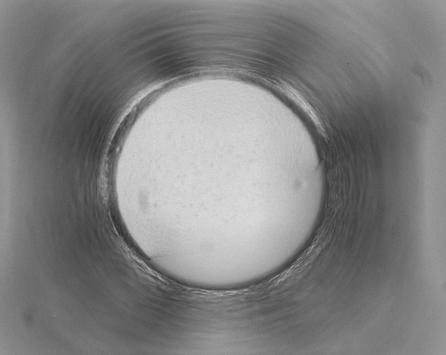 X0000115021068200912071023