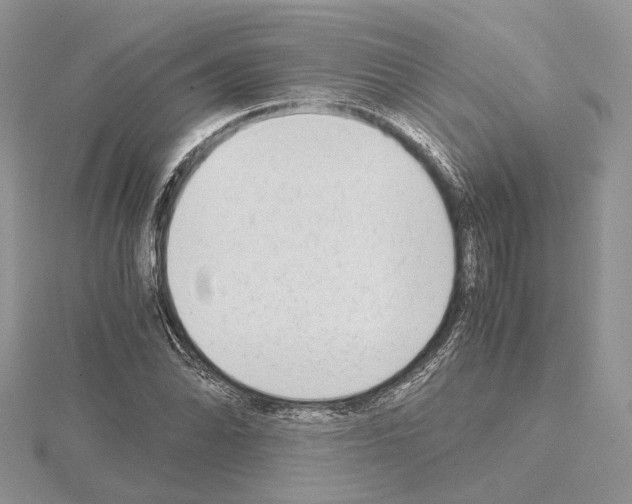 X0000115021070200912071023