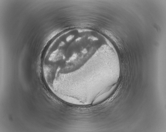 X0000115021071200912071022