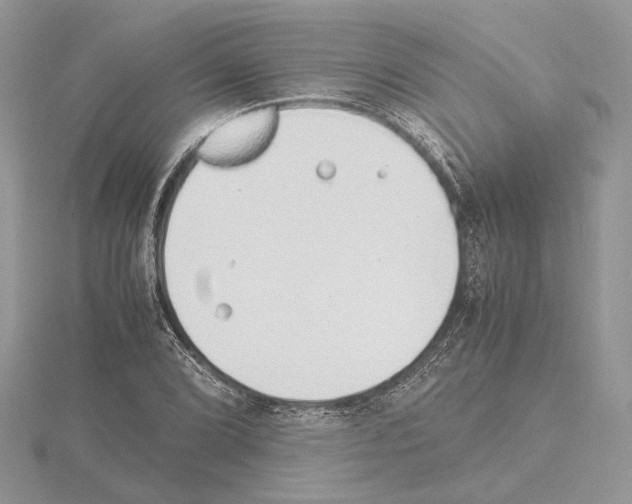 X0000115021072200912071022