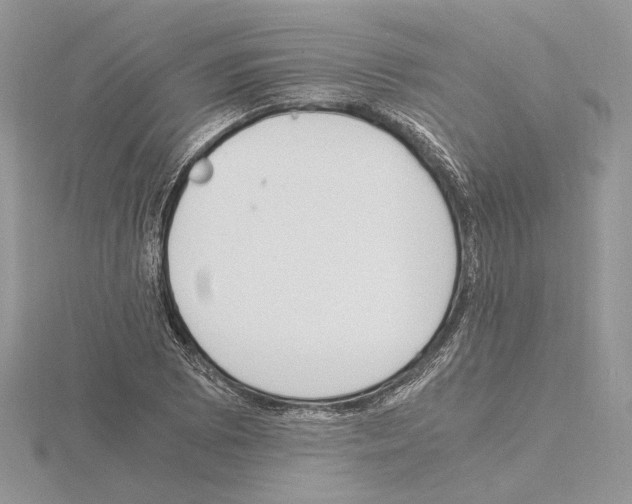 X0000115021073200912071022