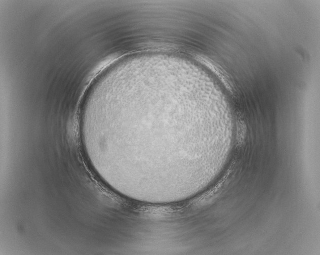 X0000115021074200912071022