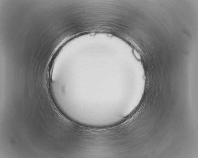 X0000115021075200912071022