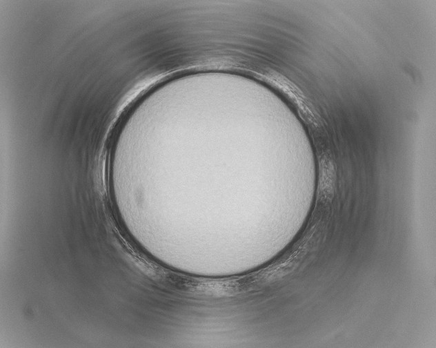 X0000115021078200912071022