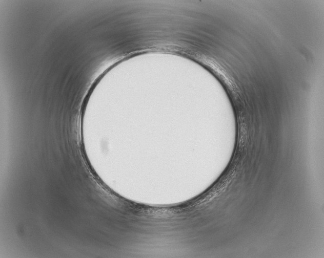 X0000115021079200912071022