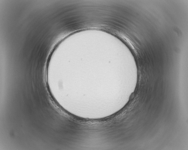 X0000115021080200912071022