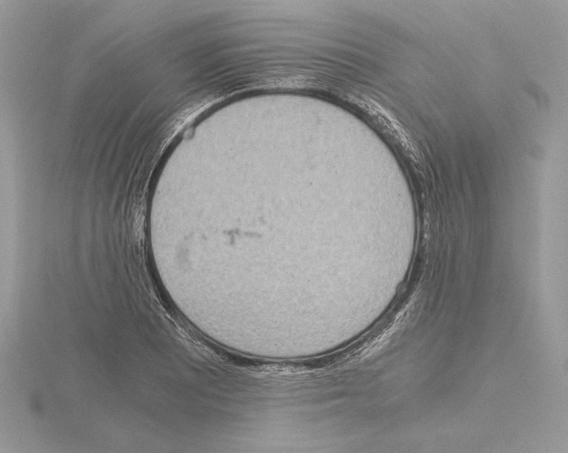 X0000115021081200912071022