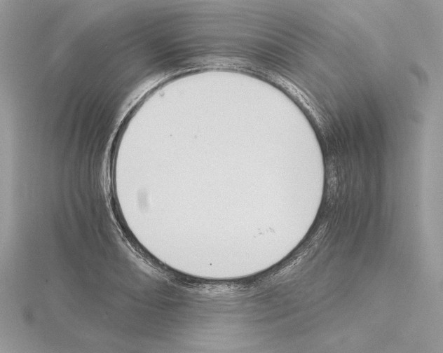 X0000115021082200912071022