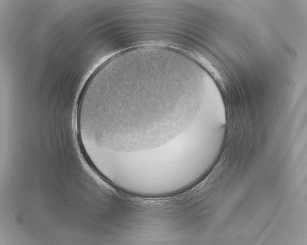 X0000115021084200912071022