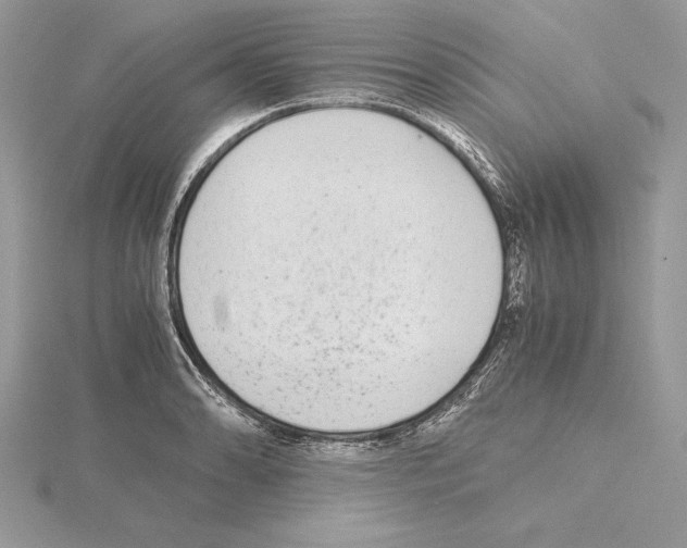 X0000115021086200912071022