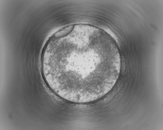 X0000115021088200912071022